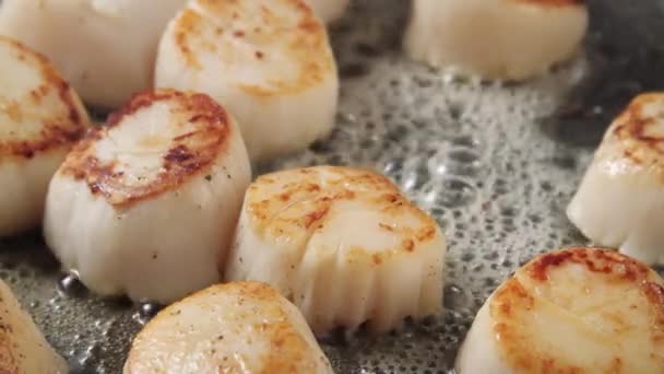 Frying scallops in a pan — Stock Video