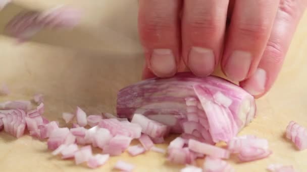 Chopping Shallot fin — Videoclip de stoc