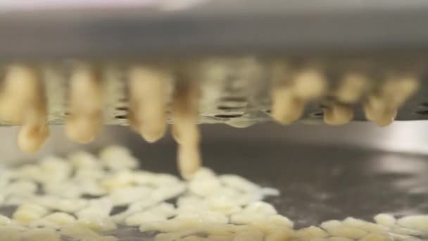 Grating spaetzle dough — Stock Video