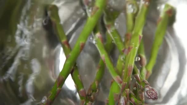 Asparagus placed in a water — Stock Video
