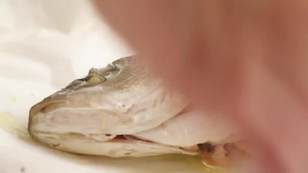 Sea bass baked in parchment — Stock Video