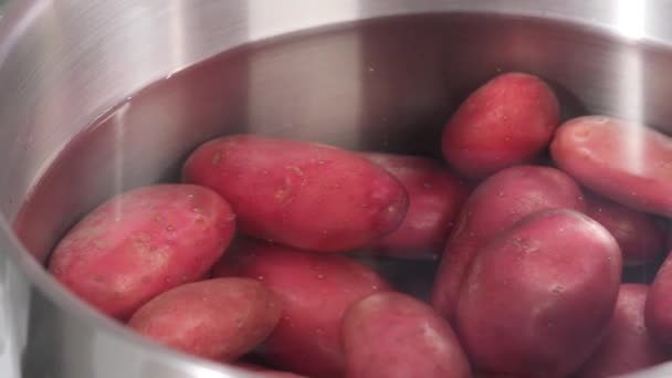 Zout toegevoegd aan aardappelen — Stockvideo