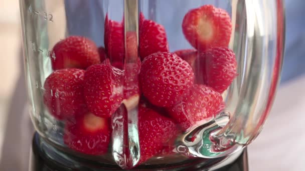 Fresas ronroneando a una licuadora — Vídeo de stock