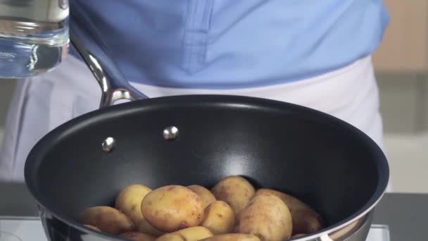 Batatas descascadas colocadas em uma panela — Vídeo de Stock