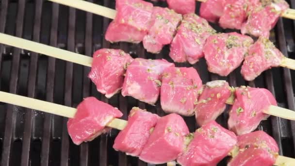 Lamb kebabs being barbecued — Stock Video