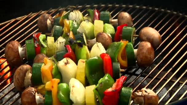 М'ясні та овочеві шашлики — стокове відео
