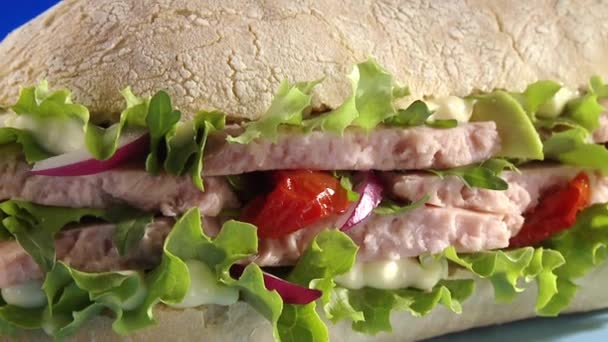 Un gustoso panino al tonno — Video Stock