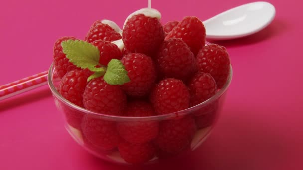 Pudding über Himbeeren gießen — Stockvideo