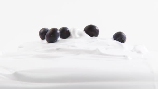 Cream with blueberries — Stock Video