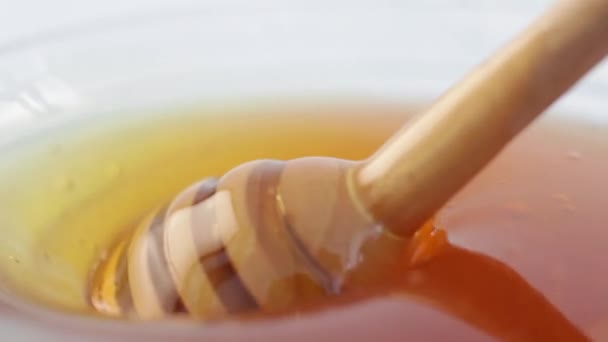 Honey with honey dipper — Stock Video