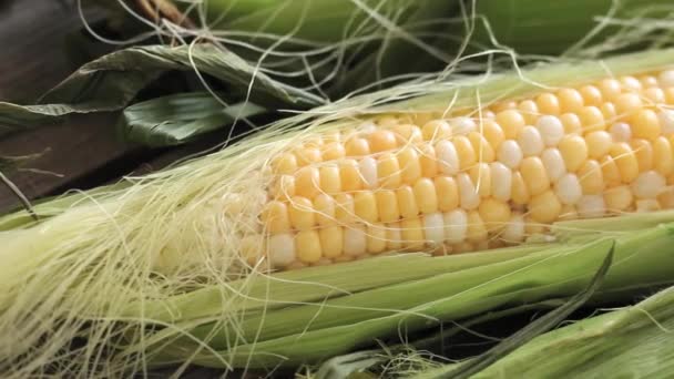 Corn on the cob close up — Stock Video