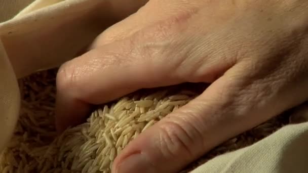 Bruine rijst in een zak — Stockvideo