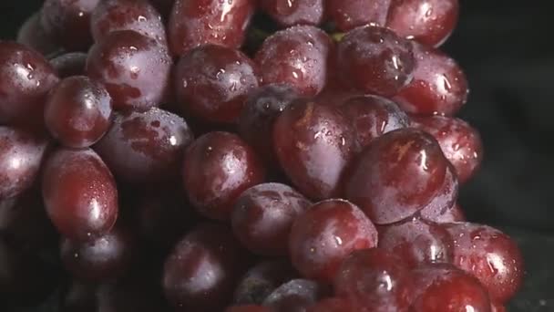 Raisins rouges avec gouttes — Video