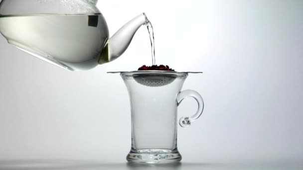 Verter agua sobre el té de frutas — Vídeo de stock