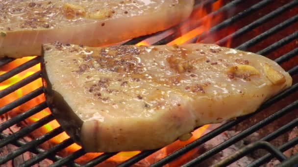 Grilling swordfish steaks — Stock Video