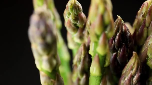 Groene asperges close up — Stockvideo