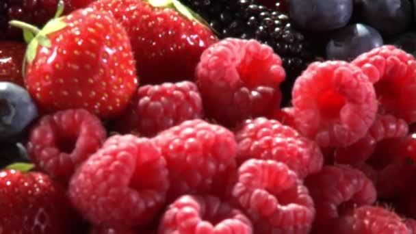 Sortierte Beeren in einer Kiste — Stockvideo