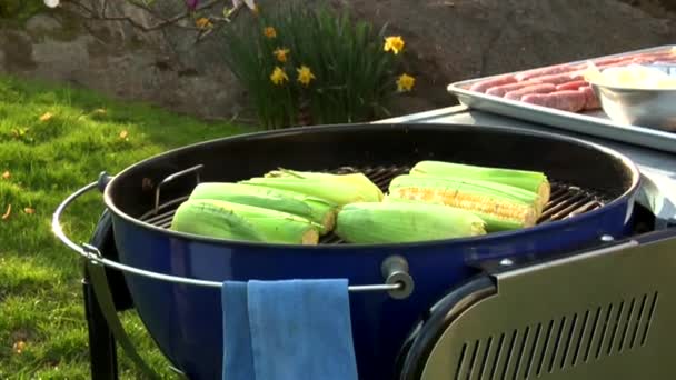 Corn on the cob on a barbecue — Stock Video