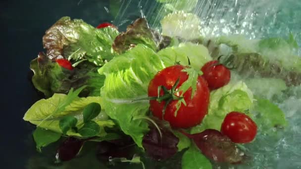 Washing salad leaves and tomatoes — Stock Video