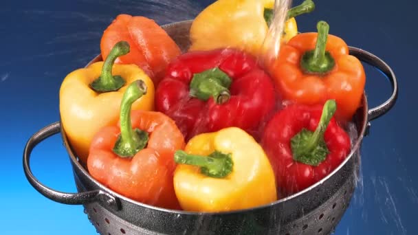 Πλύσιμο πιπεριές σε ένα σουρωτήρι — Αρχείο Βίντεο