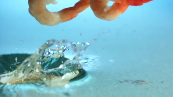 Crevettes tombant dans l'eau — Video