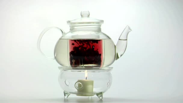 Glas Teekanne auf Stövchen — Stockvideo