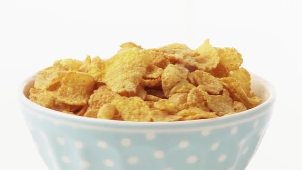 Pouring milk over cornflakes — Stock Video