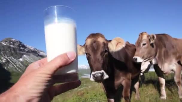 Sklenici mléka a krávy — Stock video