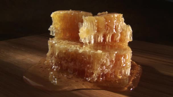 Pieces of honey comb with honey — Stock Video