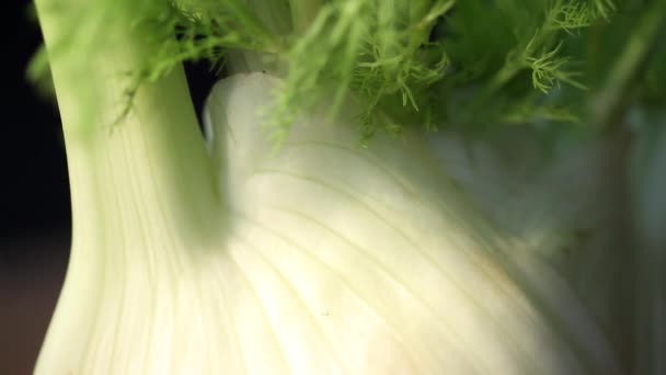 Halving a fennel bulb — Stock Video