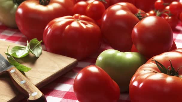 Tomatoes, basil leaves and bruschetta — Stock Video