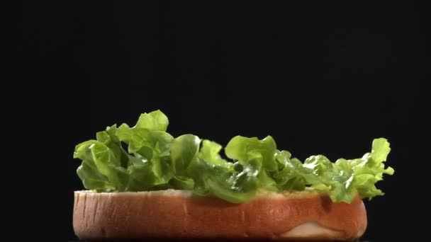 Hacer una hamburguesa con queso sobre fondo negro — Vídeo de stock