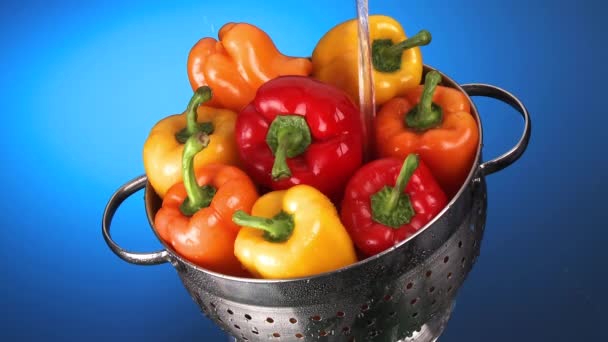 Washing peppers in a colander — Stock Video