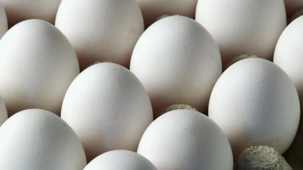 Ovos brancos na caixa de ovos — Vídeo de Stock