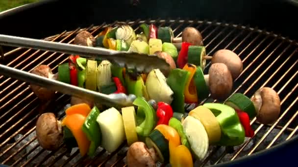 Meat and vegetable kebabs — Stock Video