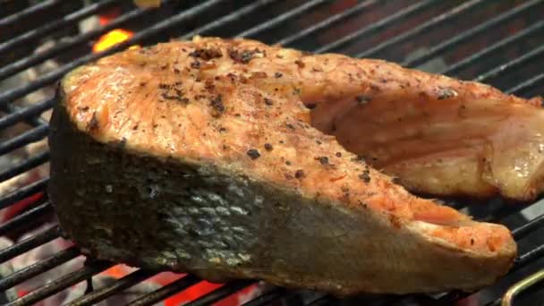 Borstelen zalm steak met marinade — Stockvideo