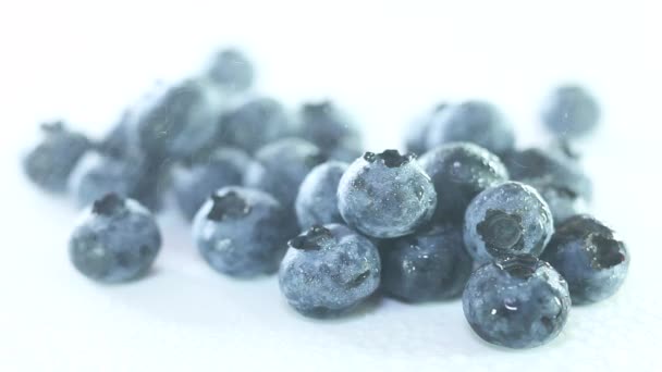 Spraying blueberries with water — Stock Video