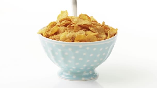 Kom van cornflakes met een lepel — Stockvideo