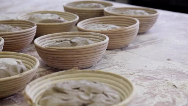 Fermentation baskets with dough — Stock Video
