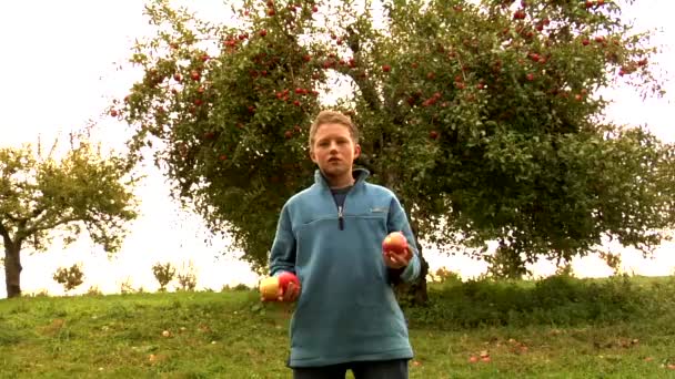 Pojke jonglering med äpplen — Stockvideo