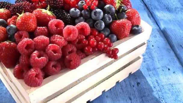 Sortierte Beeren in einer Kiste — Stockvideo