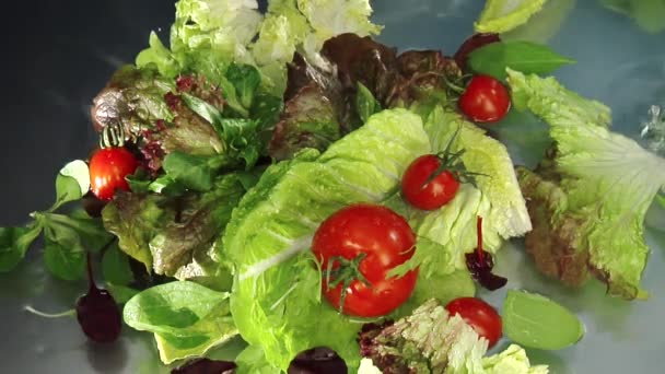 Wassen gemengde salade bladeren en tomaten — Stockvideo