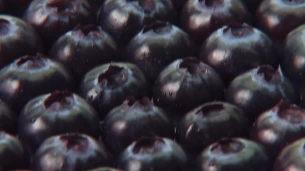 Blueberries on plastic spoon — Stock Video