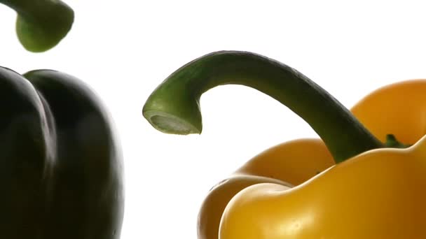 Mixed peppers on white background — Stock Video