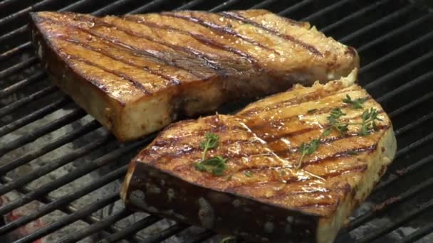 Sprinkling swordfish steaks on a barbecue — Stock Video