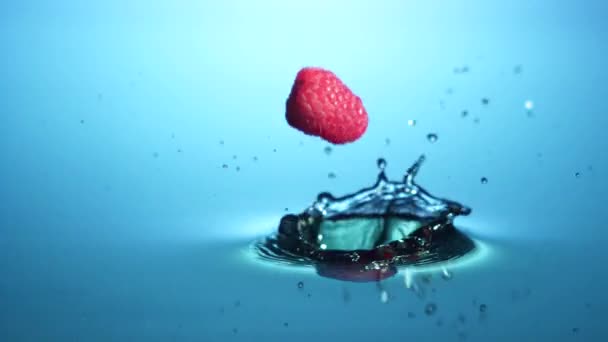 Frambozen vallen in water — Stockvideo