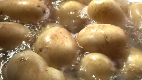 Boiling potatoes in water — Stock Video