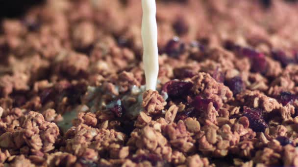 Versare il latte su muesli — Video Stock