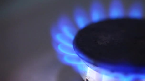 Fiamma di gas blu — Video Stock