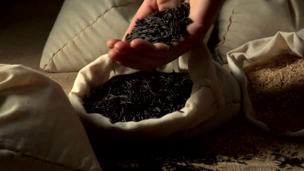 Wild rice i en säck — Stockvideo